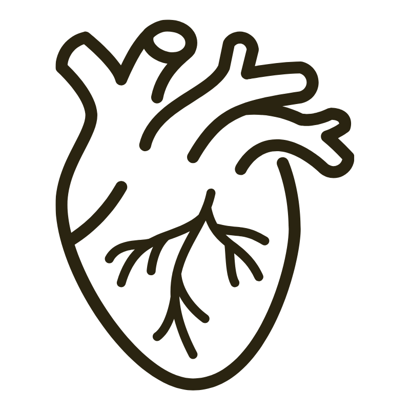 Human Heart Icon