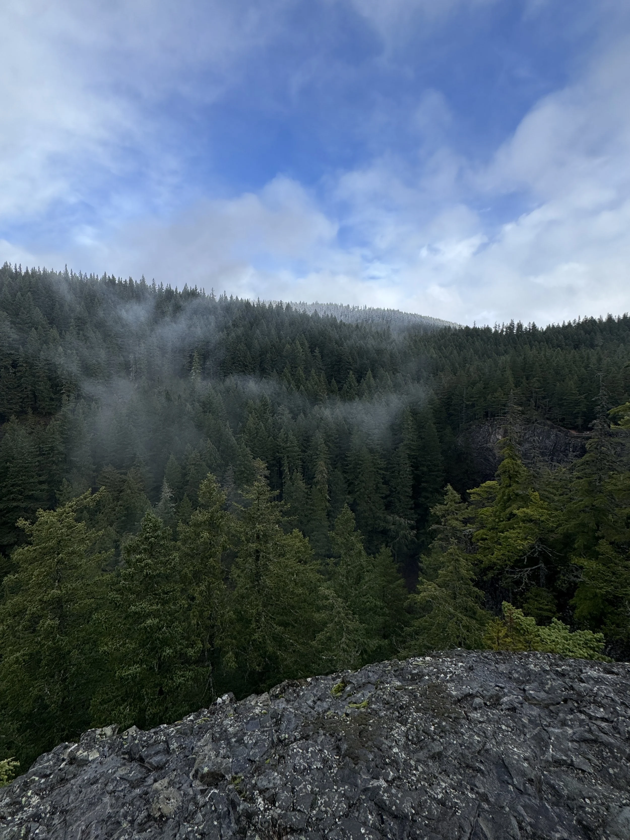 Oregon Logging Conference presents: The Annual Logging, Construction, Trucking &amp; Heavy Equipment Expo