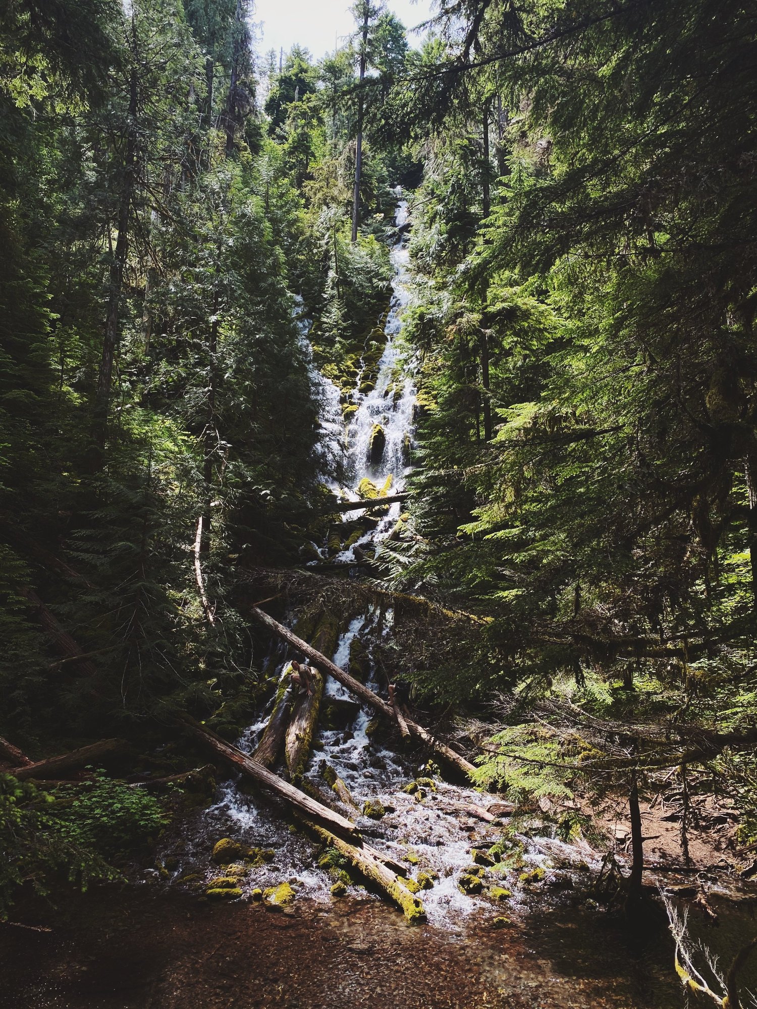 eugene-oregon-activities-guide-explore-local-adventures-and