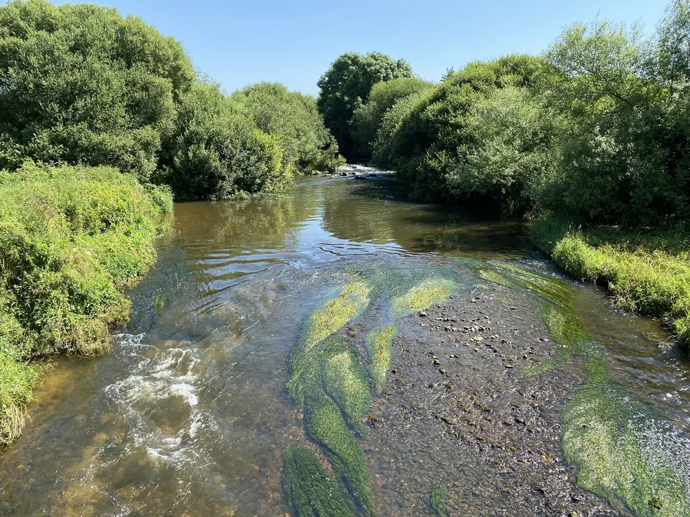 Whitford Village Hall