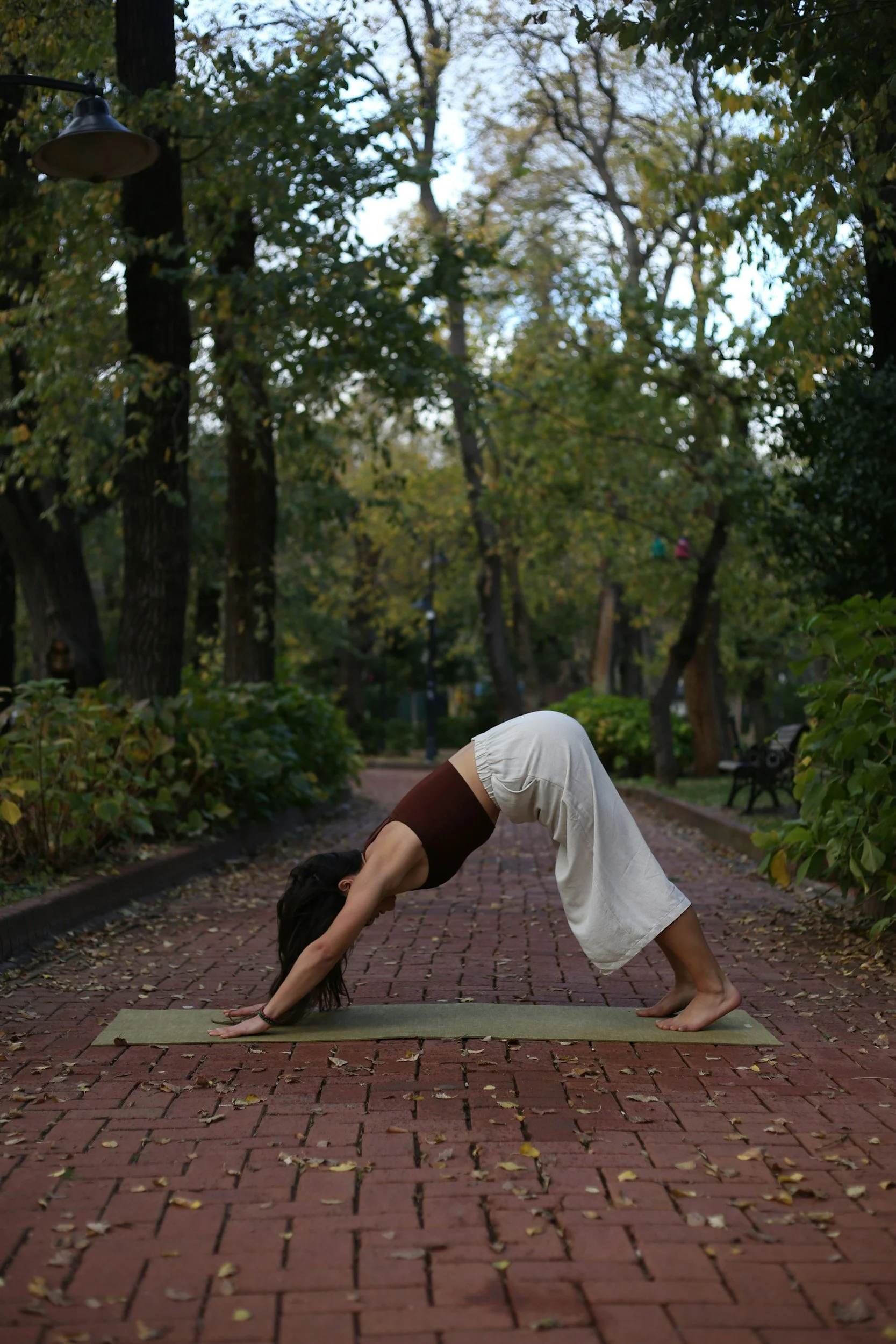 What is Asana?