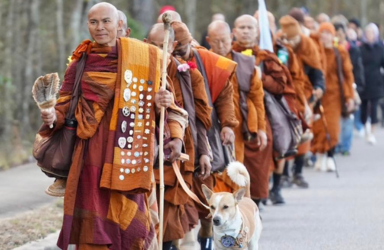 The Power of Walk for Peace to DC