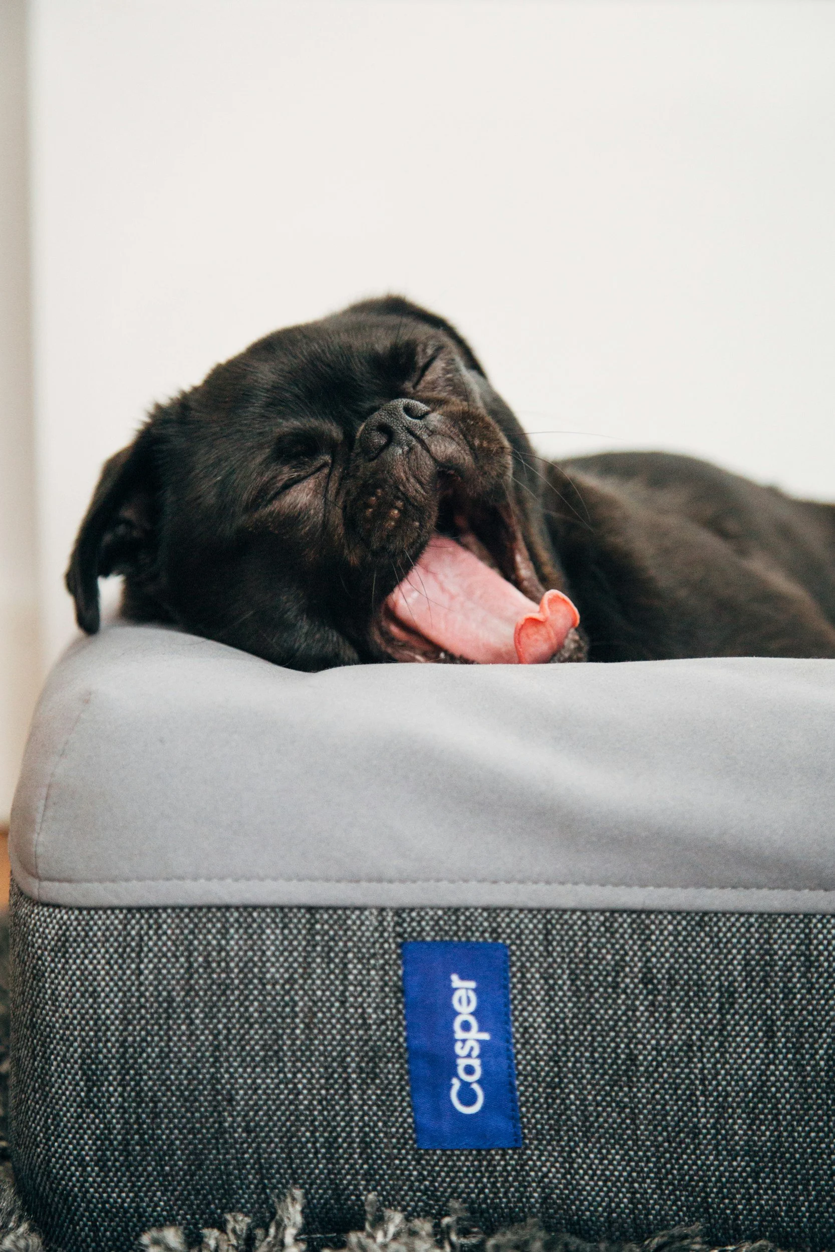Restful Sleep Begins Long Before Bedtime