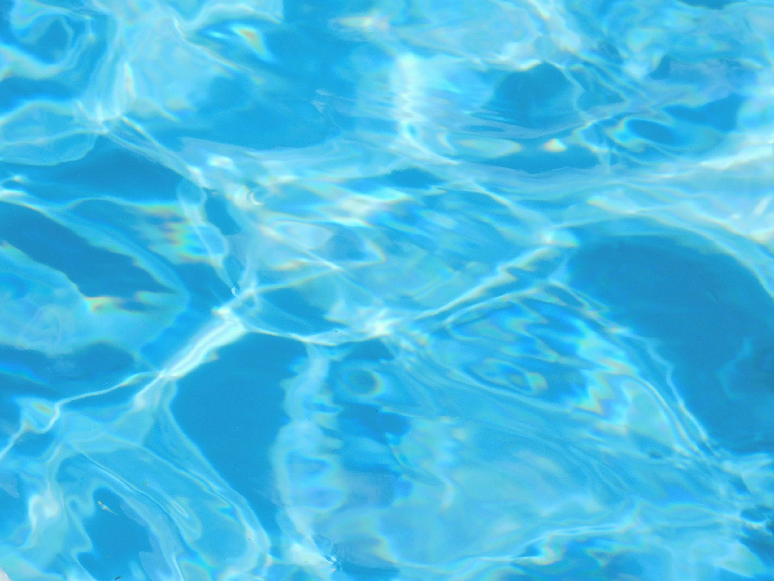 Wellness Tips for August