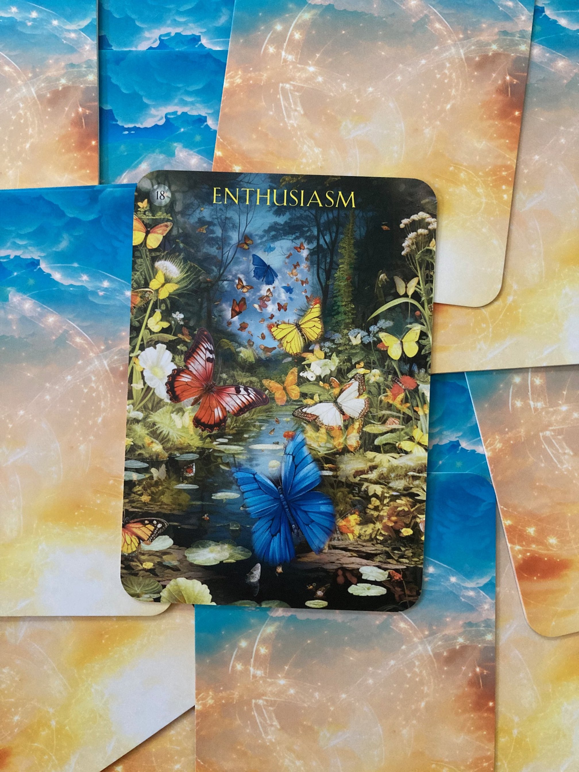 90-Minute Live, Interactive Reading