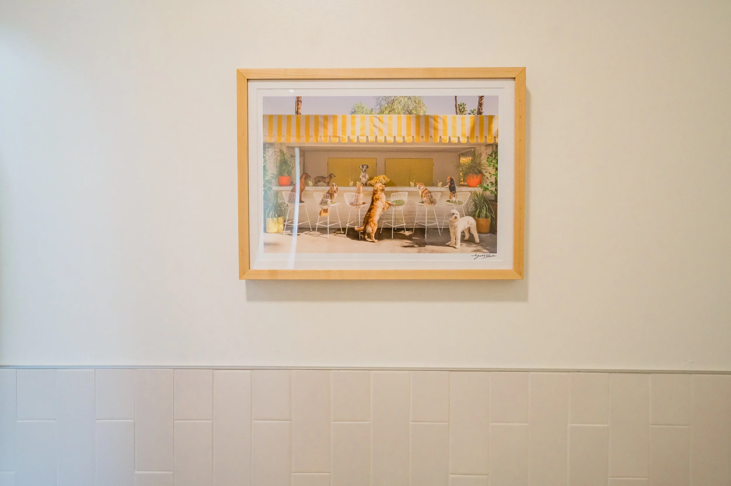Framed photograph of a dog cafe with multiple dogs sitting on chairs and standing on the ground, plants, and a yellow and white striped awning.