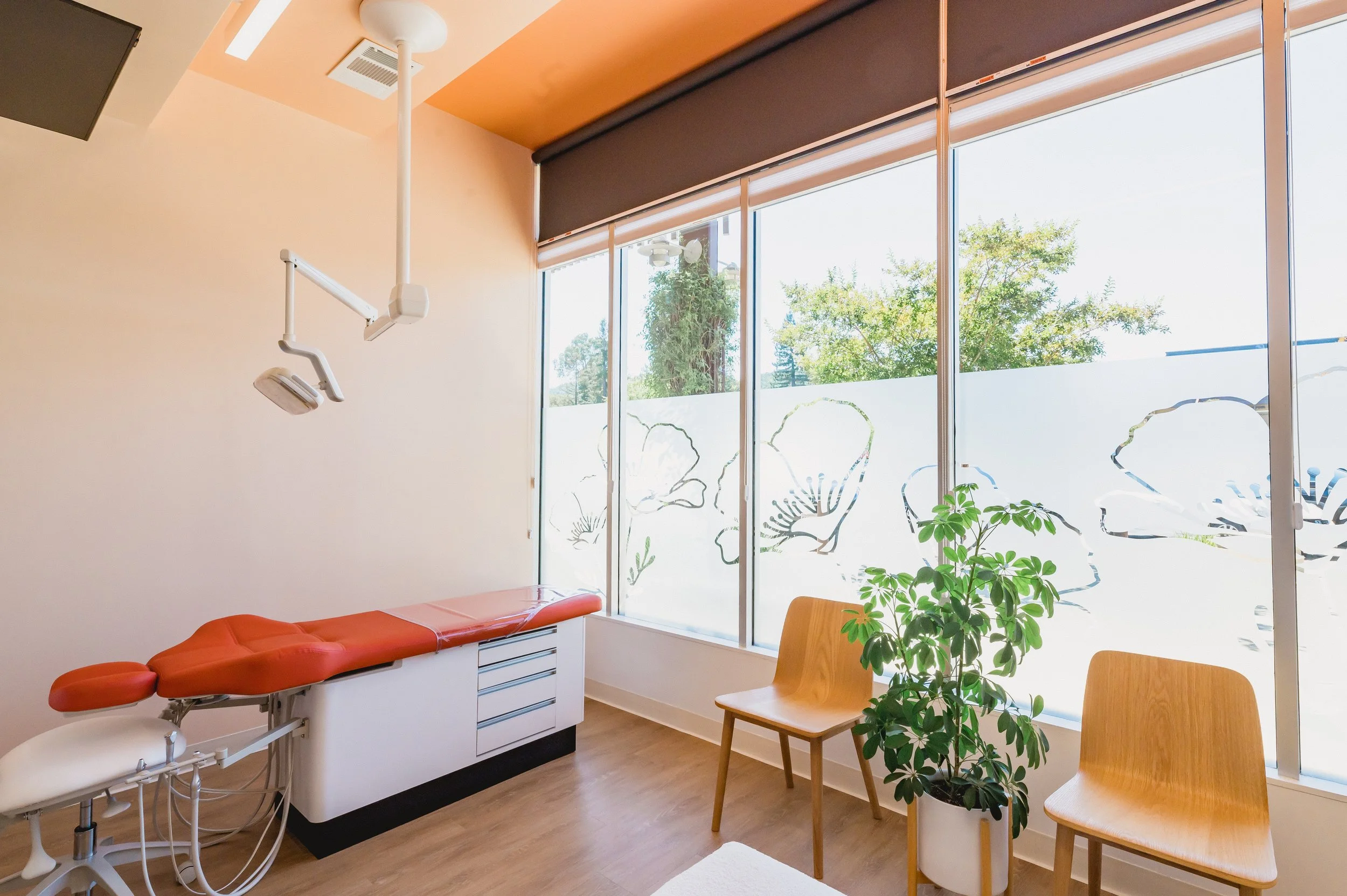 A dental examination room with a dental chair, two wooden chairs, a potted plant, and large windows with decorative frosted floral designs.