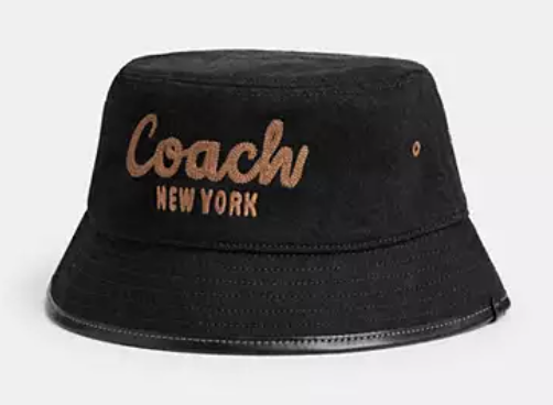 COACH 3.png