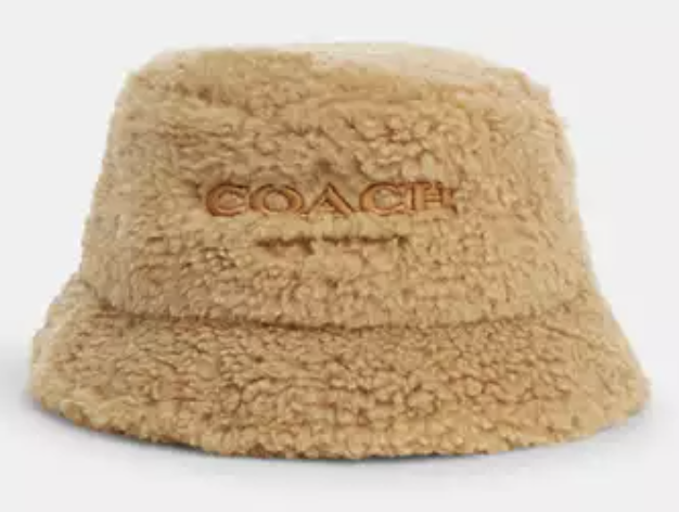 COACH 4.png