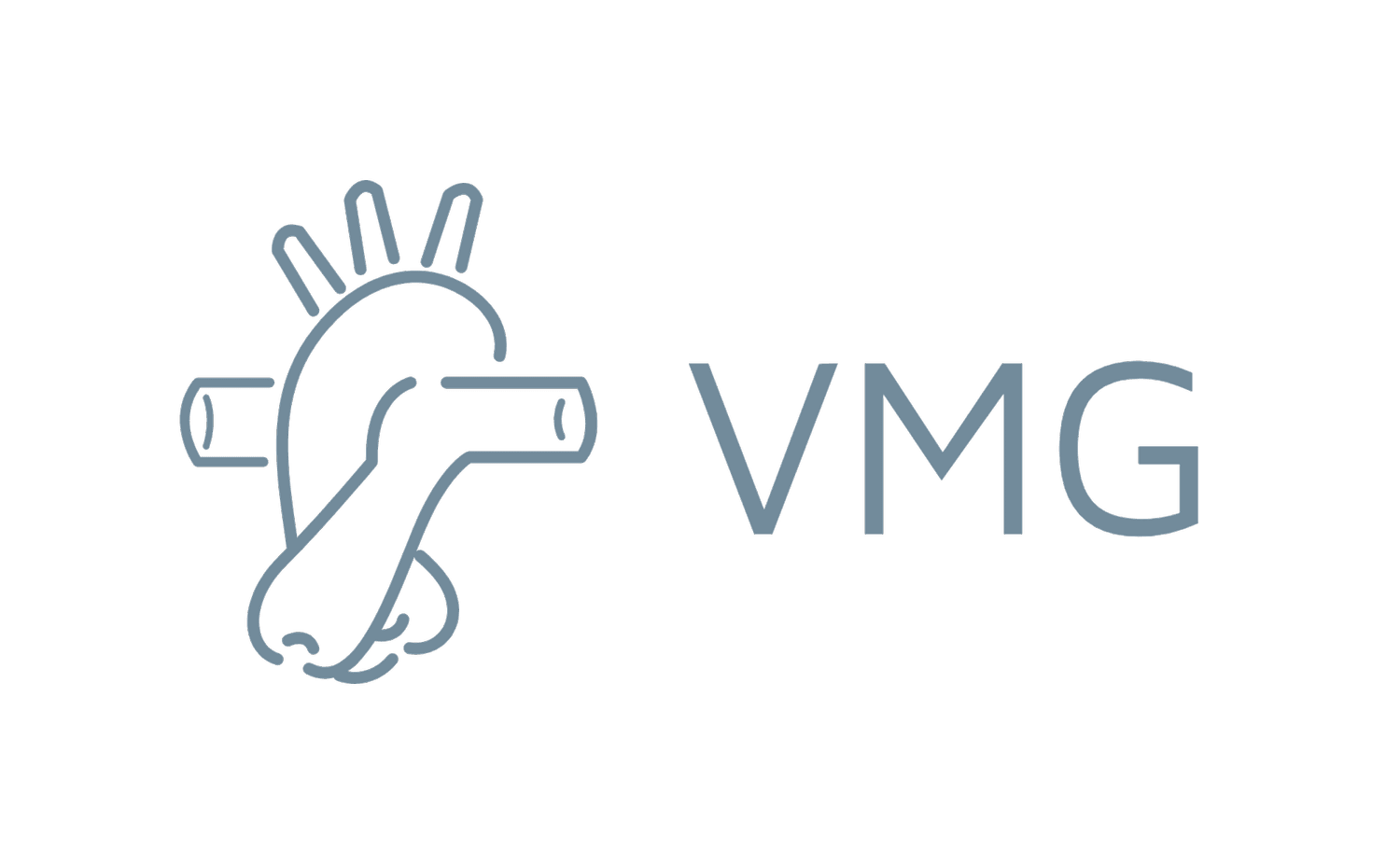 Vascular Medical Group