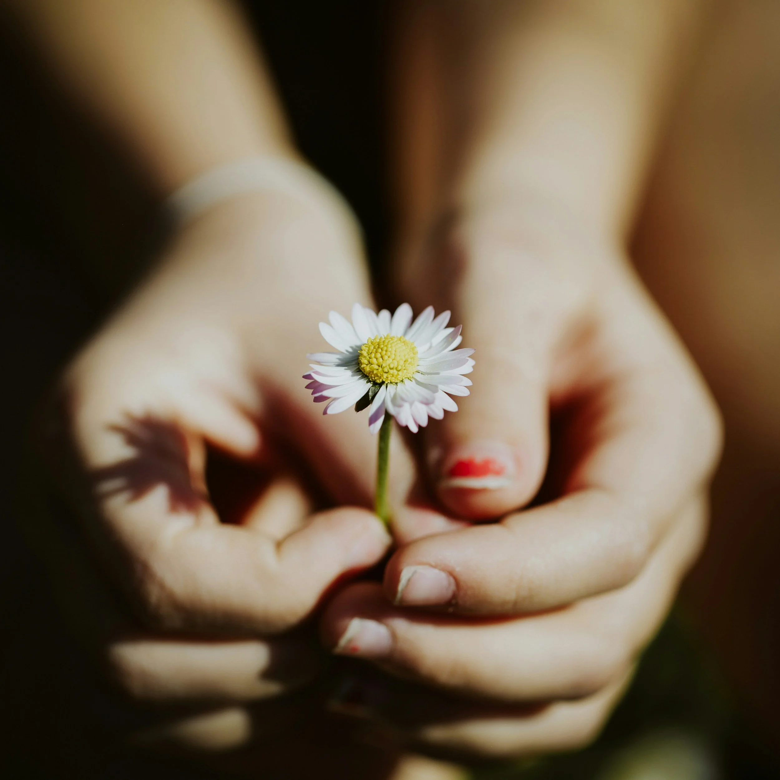 unsplash-image-y1PODdeHeTk.jpg