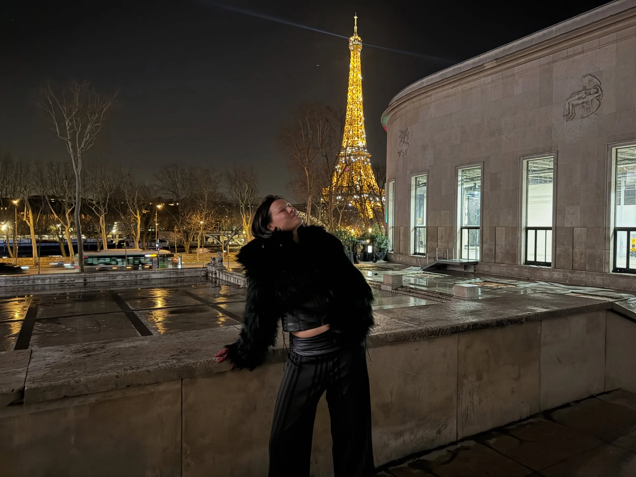 paris was in my dreams last night?
