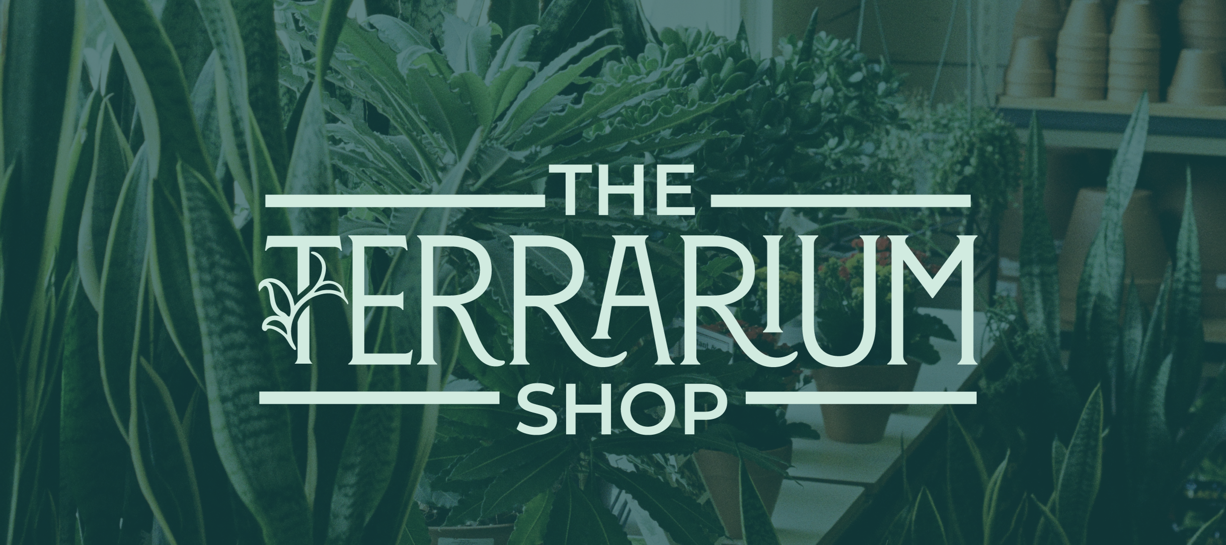 Terrarium+Shop-08.png