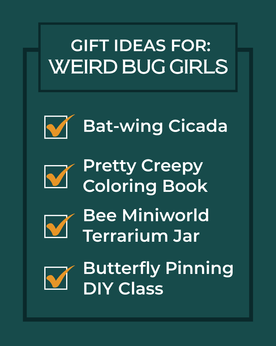 Terrarium Shop-06.png