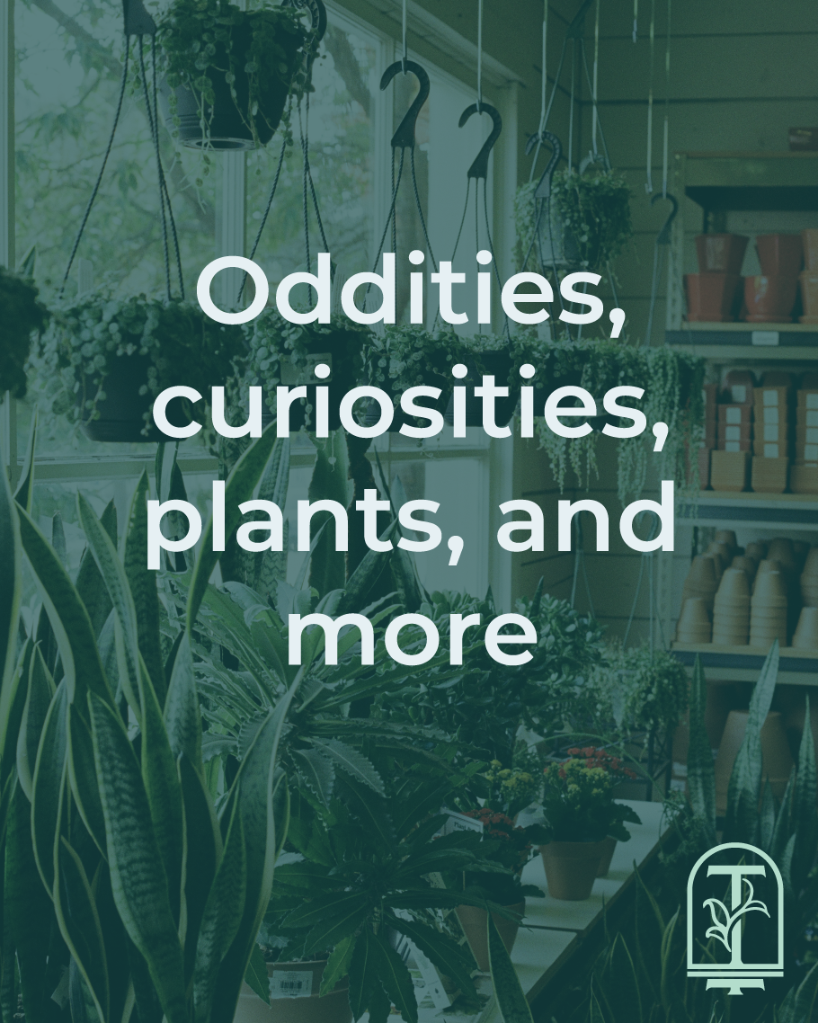 Terrarium Shop-02.png