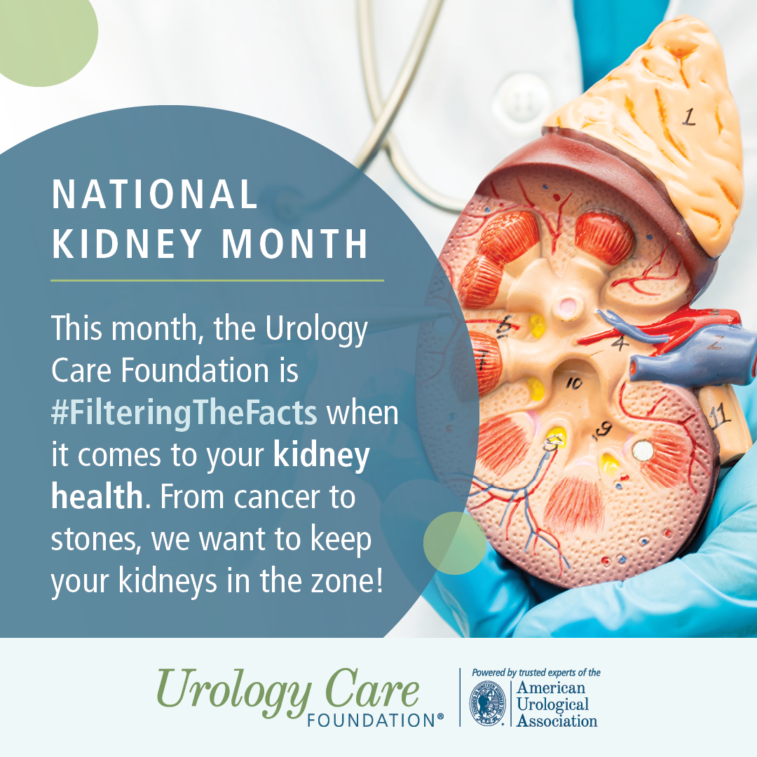 COMS-25-964 National Kidney Month 14.png