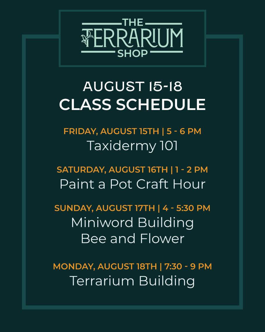 Terrarium Shop-05.png