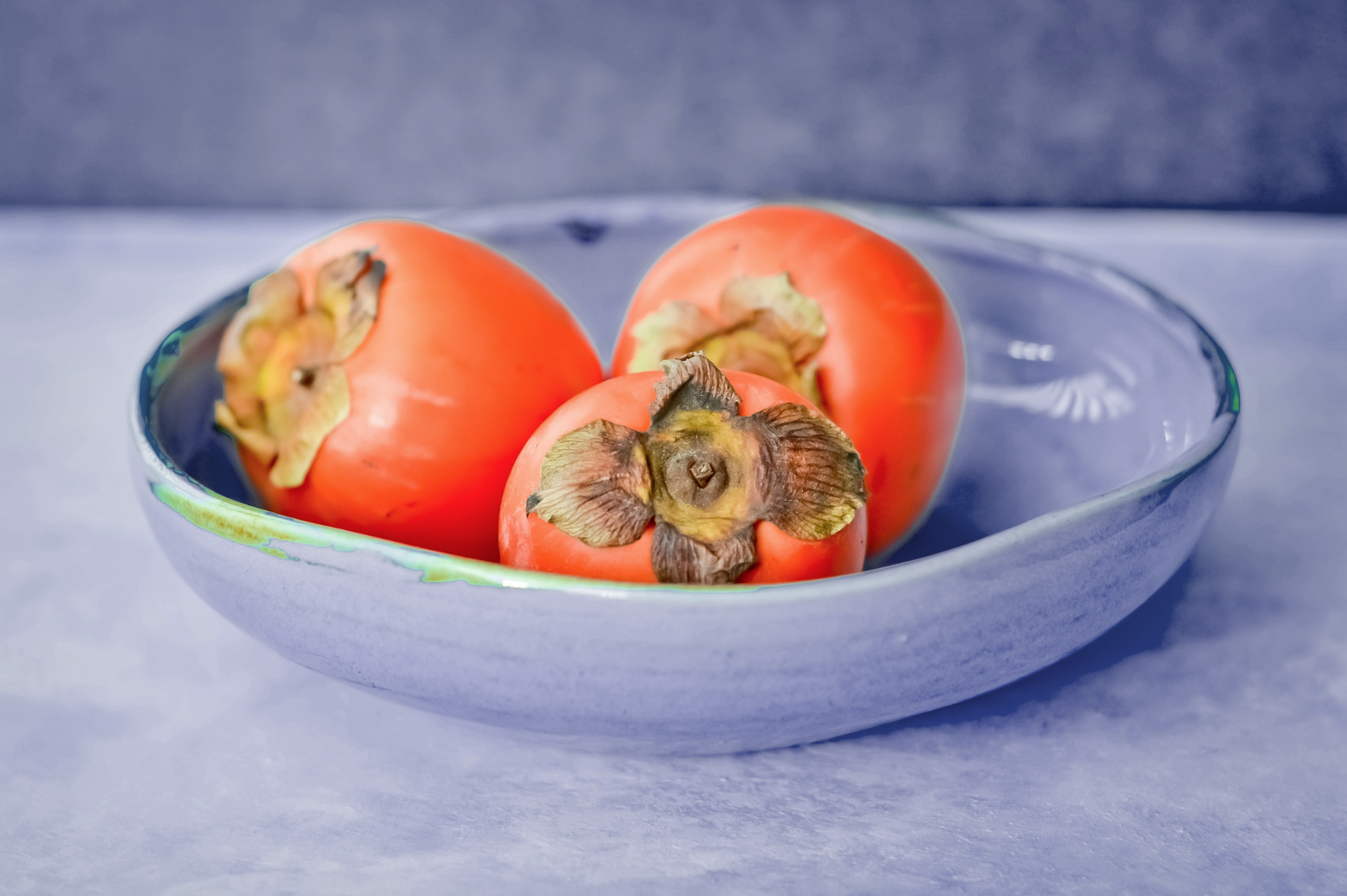 Screen Shot 2024-04-04 at 3.22.03 PM.png