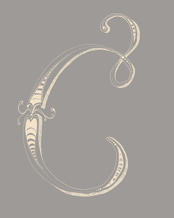 Yes Design Shop-26 Letters Set-calm neutrals3-flat preview.jpg