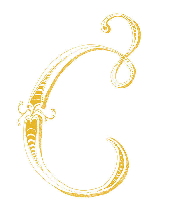 Yes Design Shop-26 Letters Set-mustardseed white3-flat preview.jpg