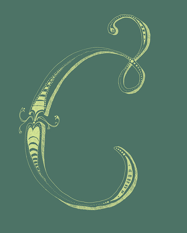Yes Design Shop-26 Letters Set-cool forest green3-flat preview.jpg