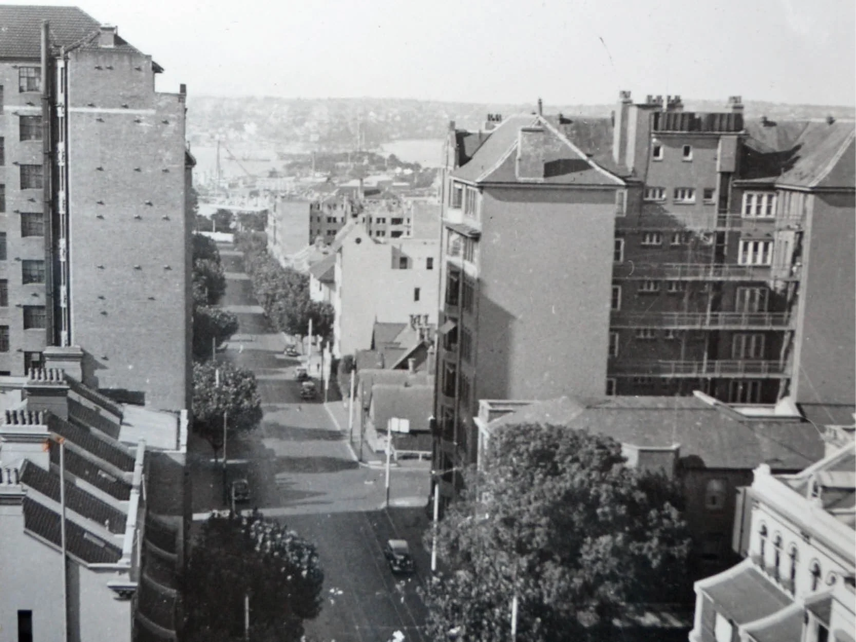 View of Macleay St from eastern roof terrace, 1930s (Credit: Franconia Archives)