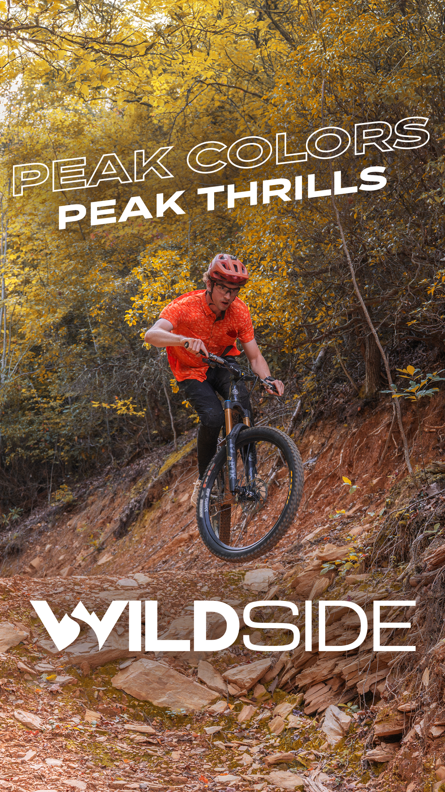 Story 2 - Biking.png