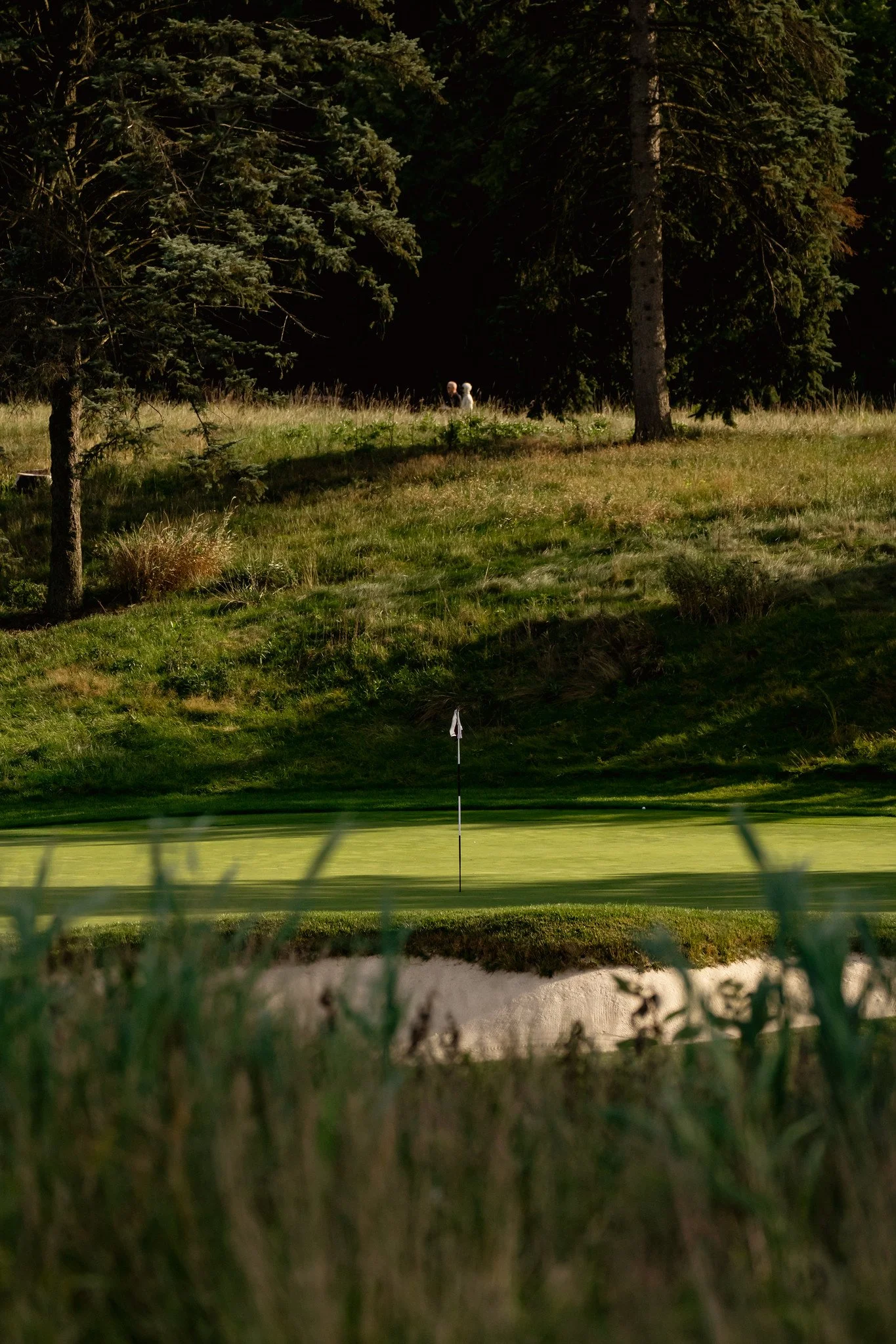 A golf course green with a flagstick and hole in the foreground, surrounded by grass and blurred tall grass, with a wooded area and two small figures in the background.