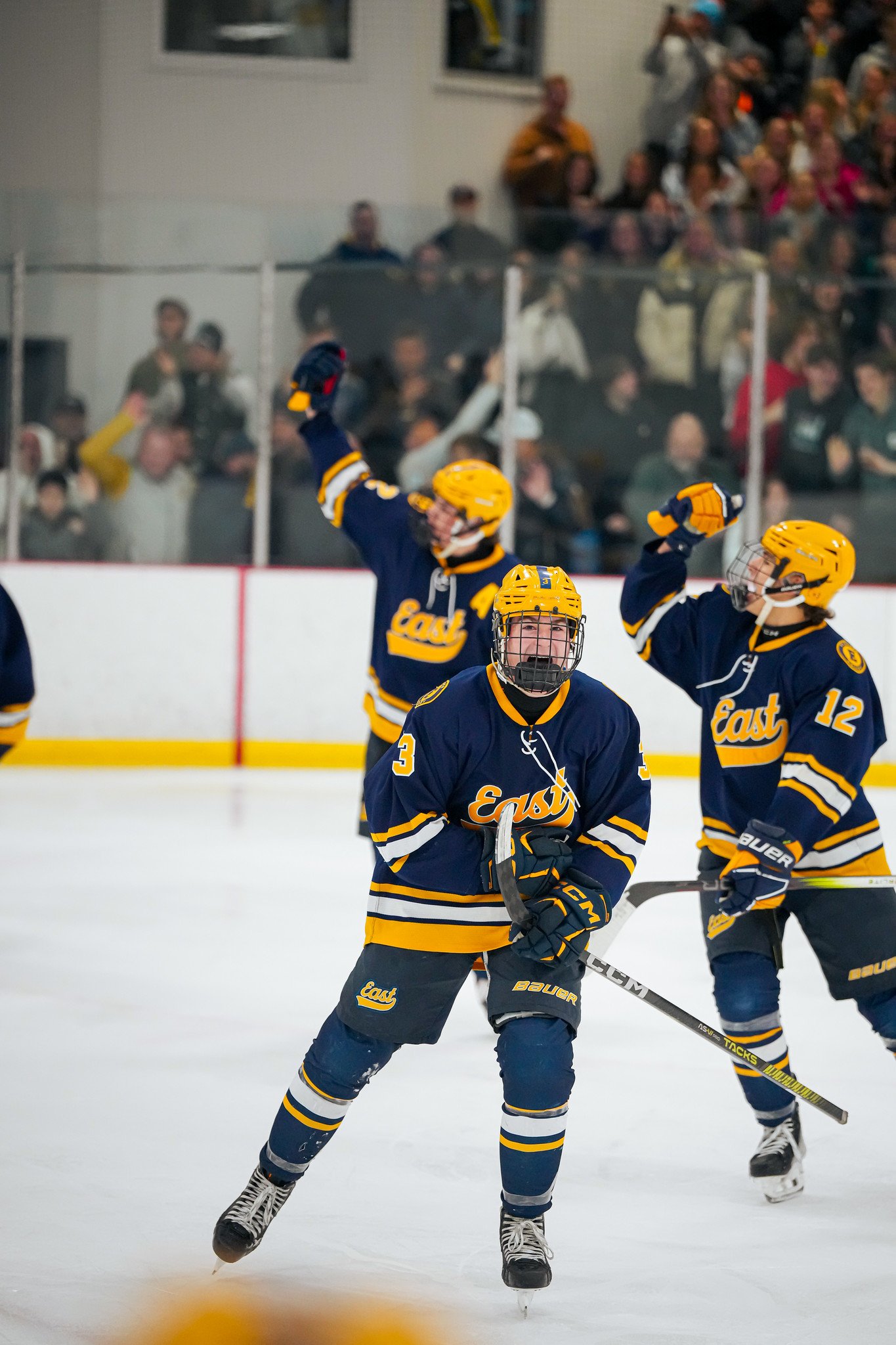 Ice hockey players celebrating on the ice rink with fans in the background.