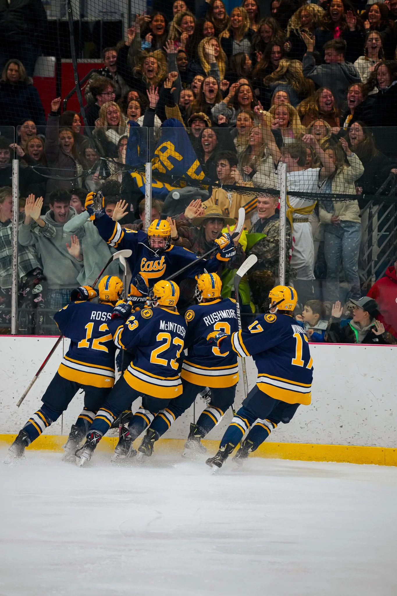 Hockey players in blue and yellow uniforms celebrating on the ice while fans cheer behind the glass in the stands.