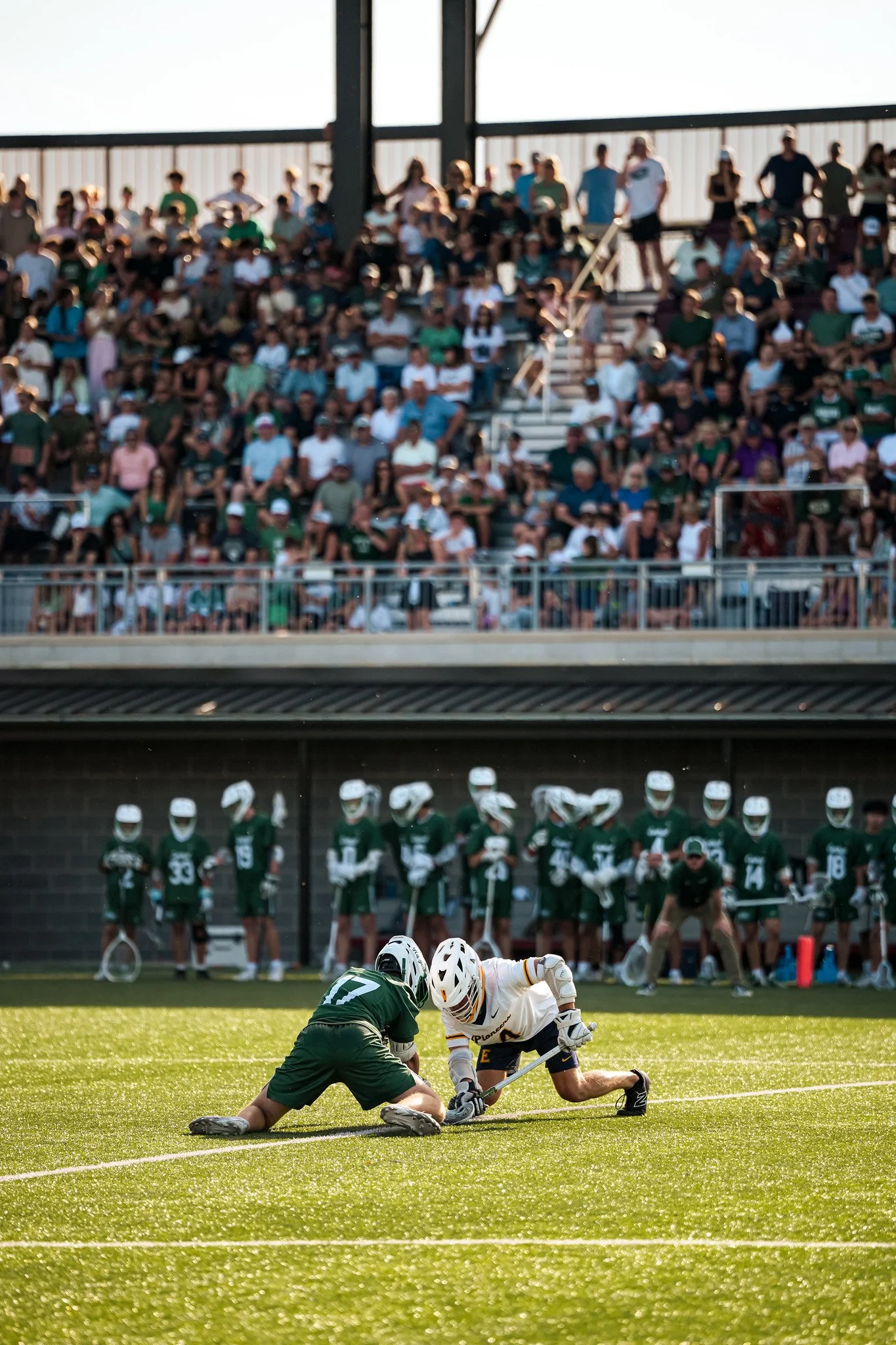 Two players in a lacrosse game on a field, one in green and the other in white, reaching for the ball, with a crowd of spectators in the stands in the background.