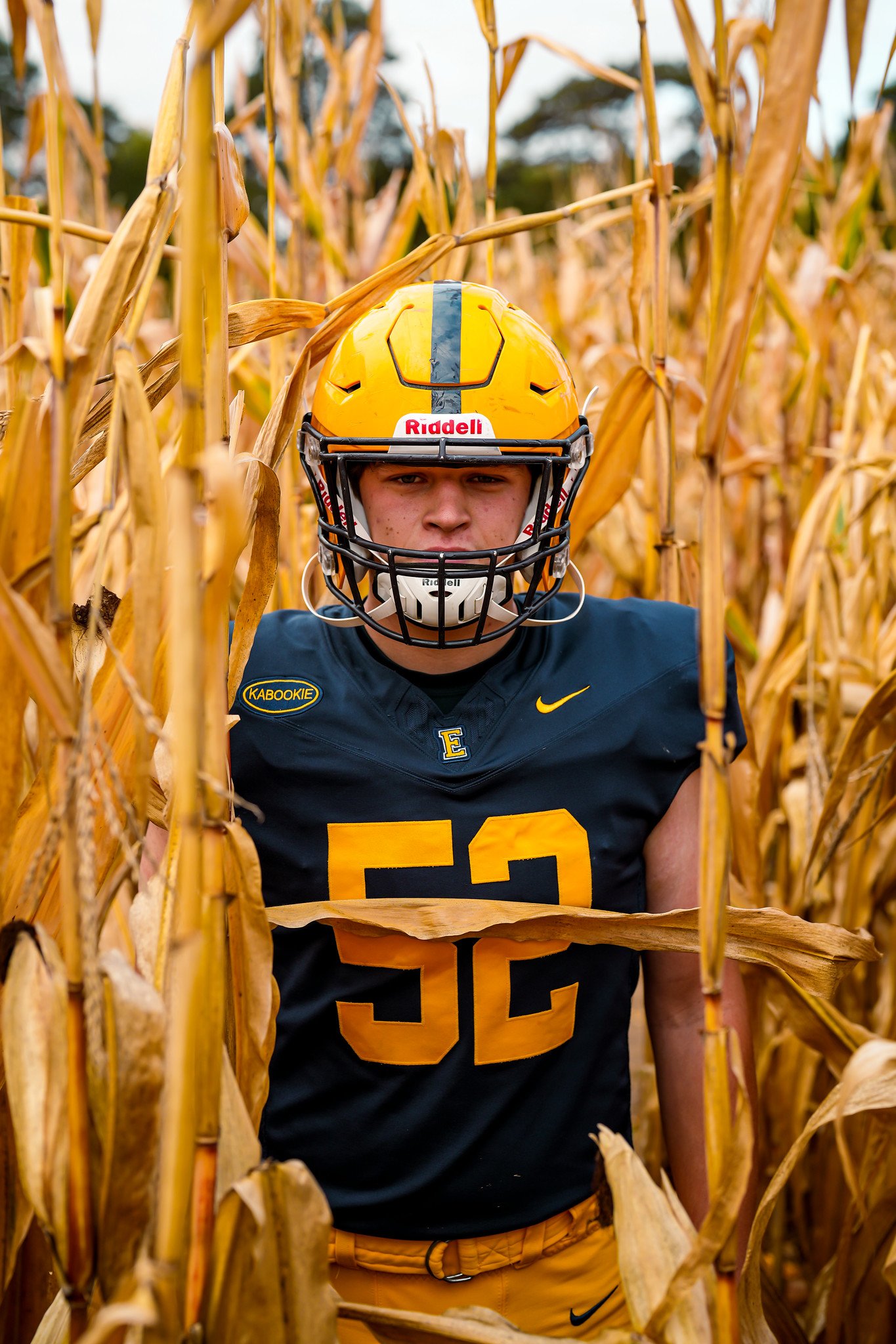 A football player in a navy and yellow uniform and yellow helmet standing among dried corn stalks in a field.