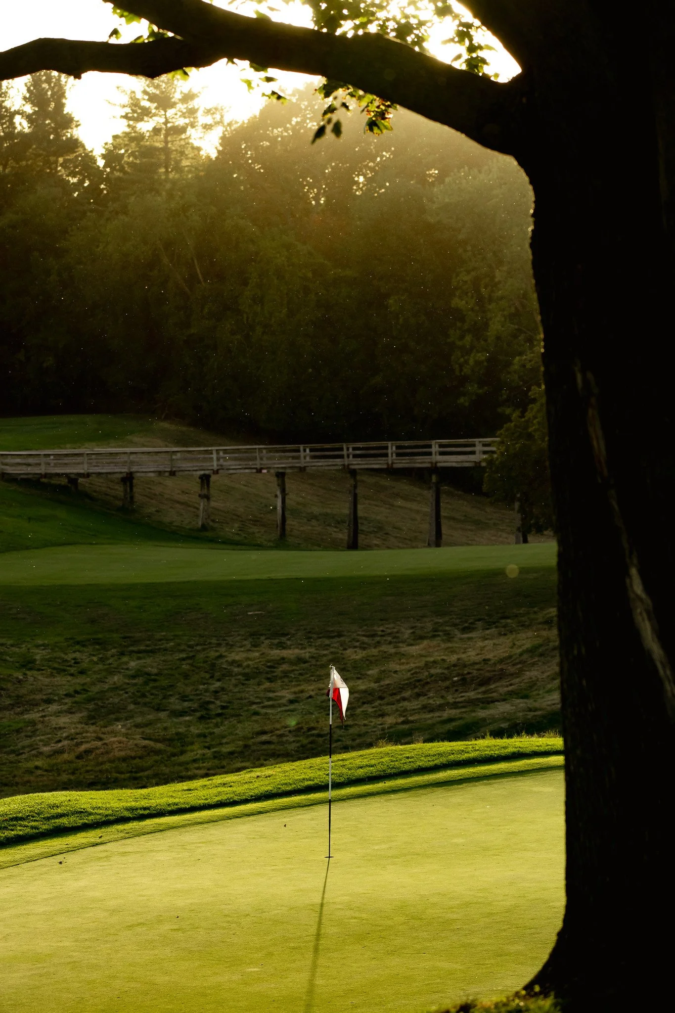 A golf course with a flagstick on the putting green, surrounded by trees and a wooden fence in the distance, with sunlight filtering through the trees.