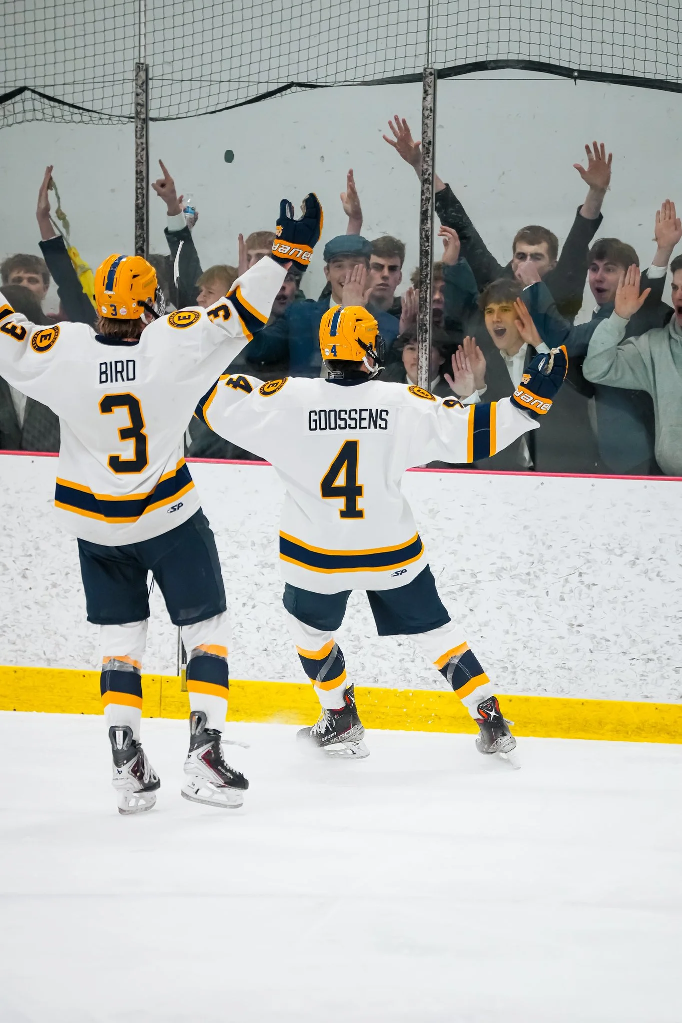 Two hockey players in white jerseys celebrating on the ice rink with fans in the background.