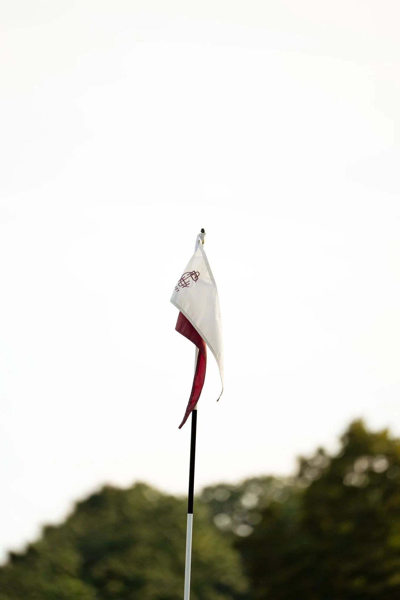 Flagpole with a small flag, blurred trees in the background, and an overcast sky.