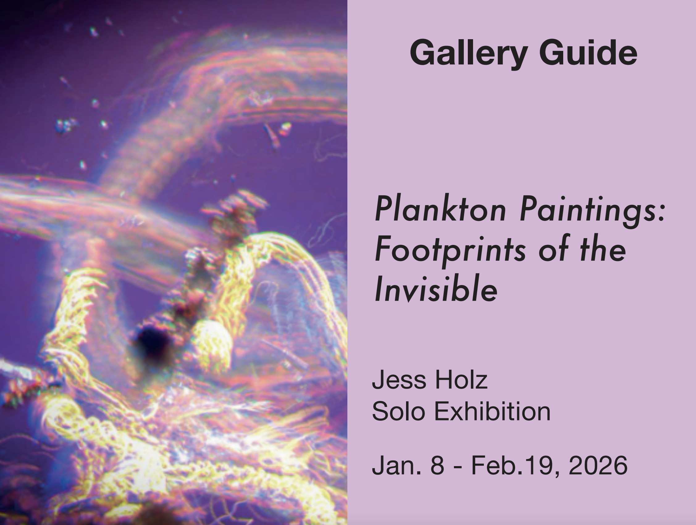 截屏2026-02-25 22.13.32.png