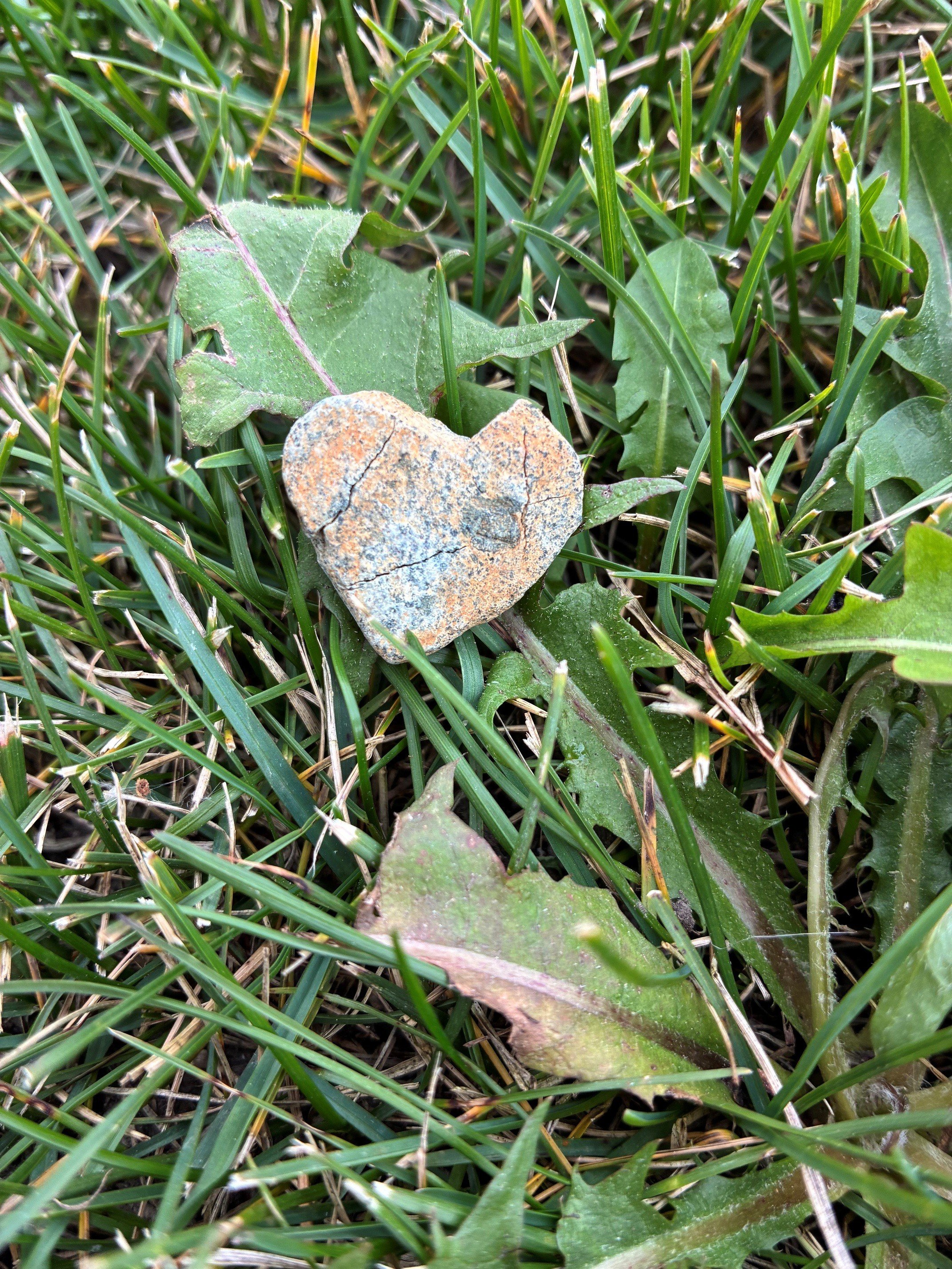 heart rock.jpg