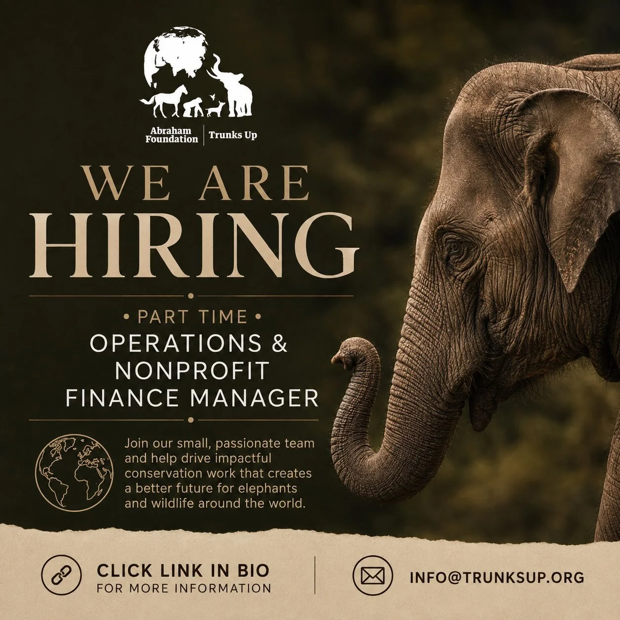 We Are Hiring ✨
Operations &amp; Nonprofit Finance Manager

Love turning chaos into clean systems? Get a quiet thrill from a reconciled spreadsheet or a perfectly organized donor database? We need you! 

We&rsquo;re a growing nonprofit looking for a 