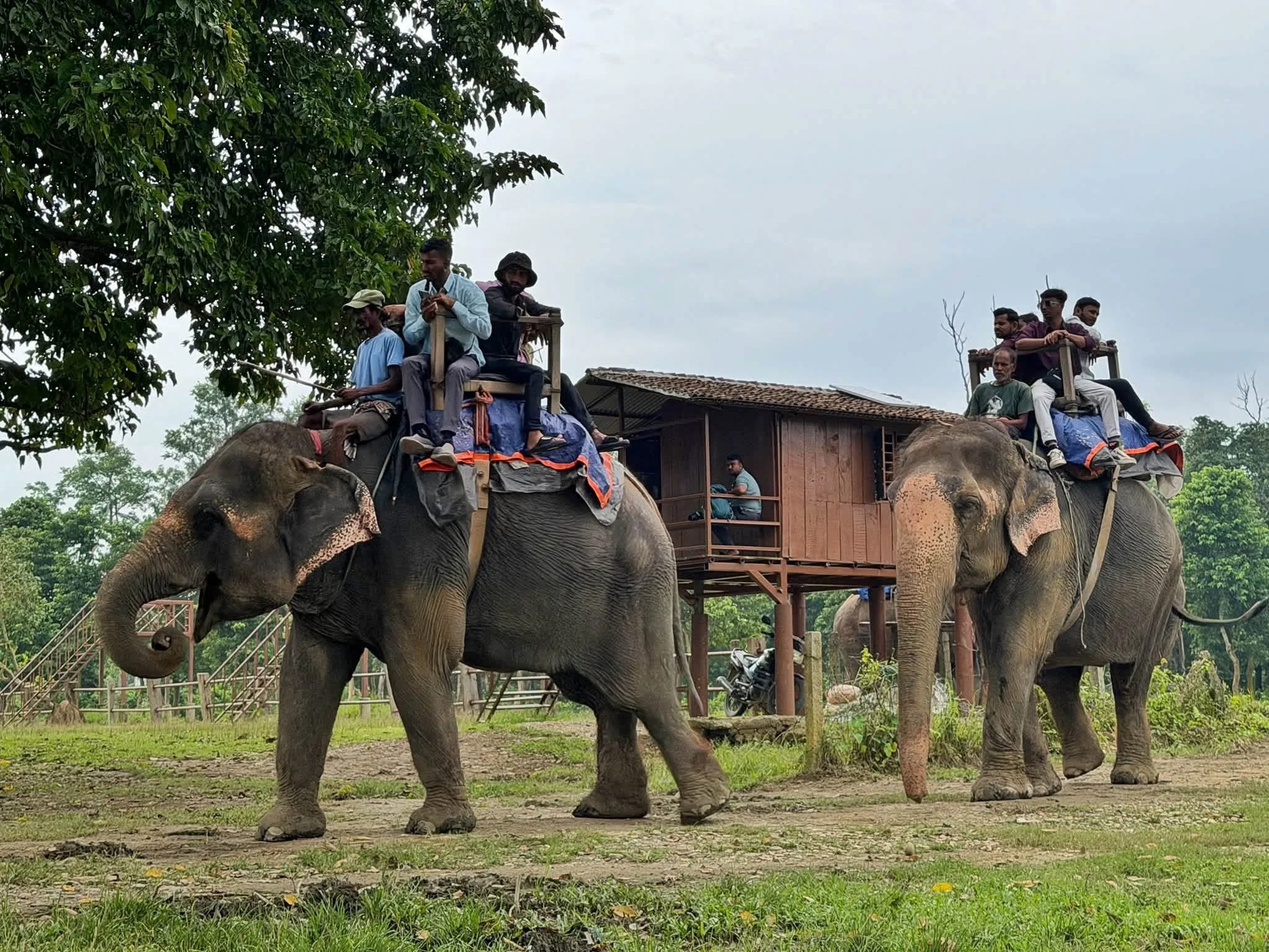 Lek&rsquo;s voice for elephants continues to grow across the range countries. Now she&rsquo;s helping to shape change in Nepal.

Lek has signed an agreement with Nepal&rsquo;s Ministry of Agriculture and Livestock Development, working with the Minist