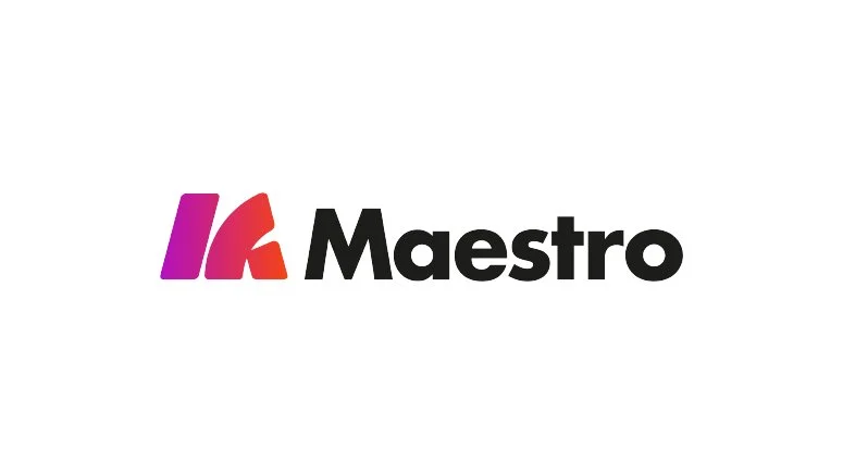 providers-maestro.jpg