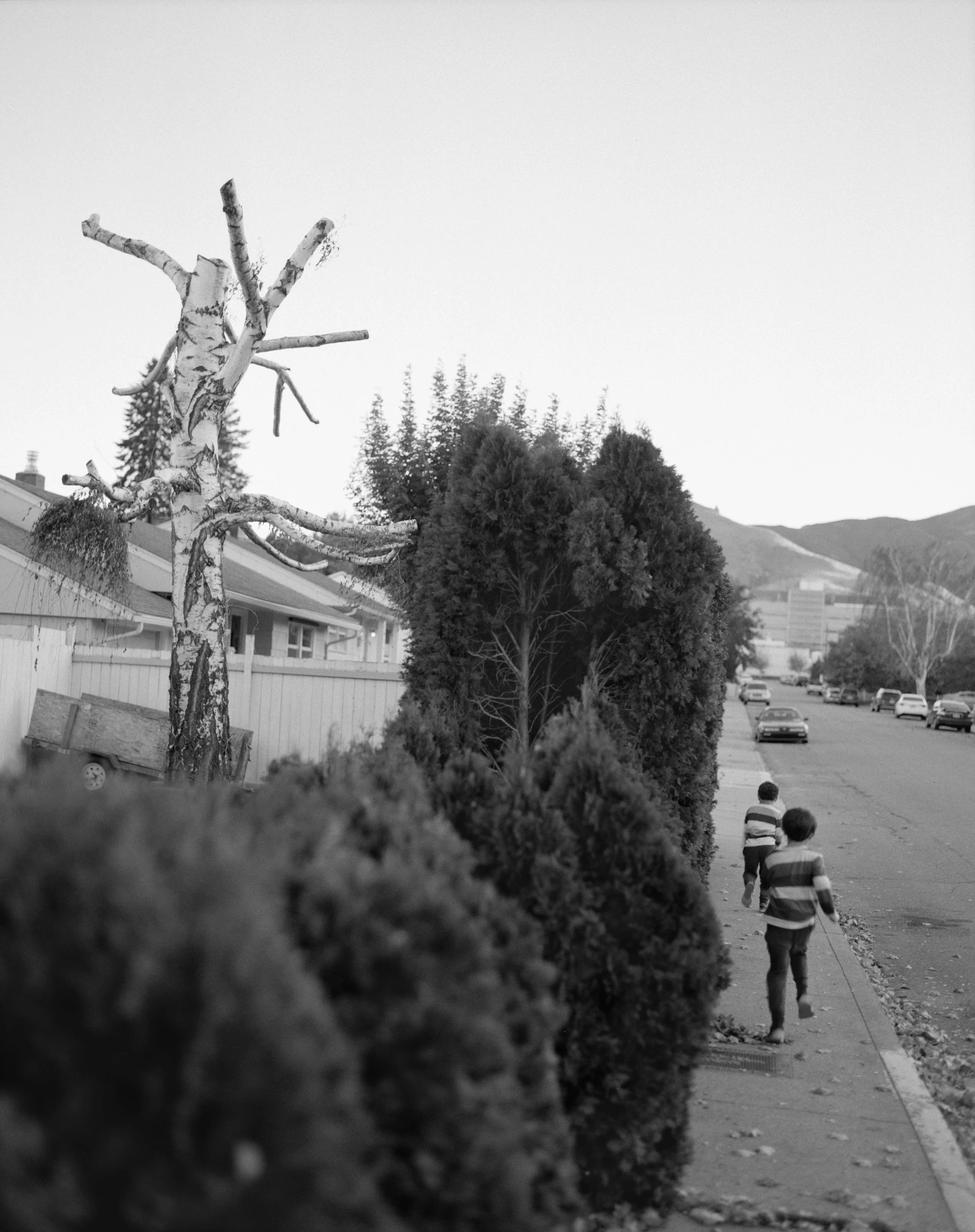 250330_Kasnic_-026-2.jpg
