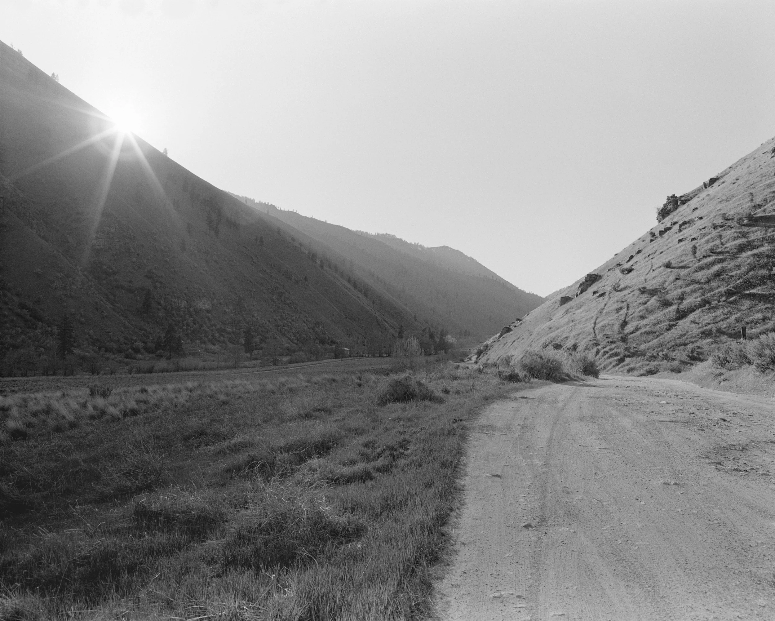 250413_Kasnic_-017-2.jpg