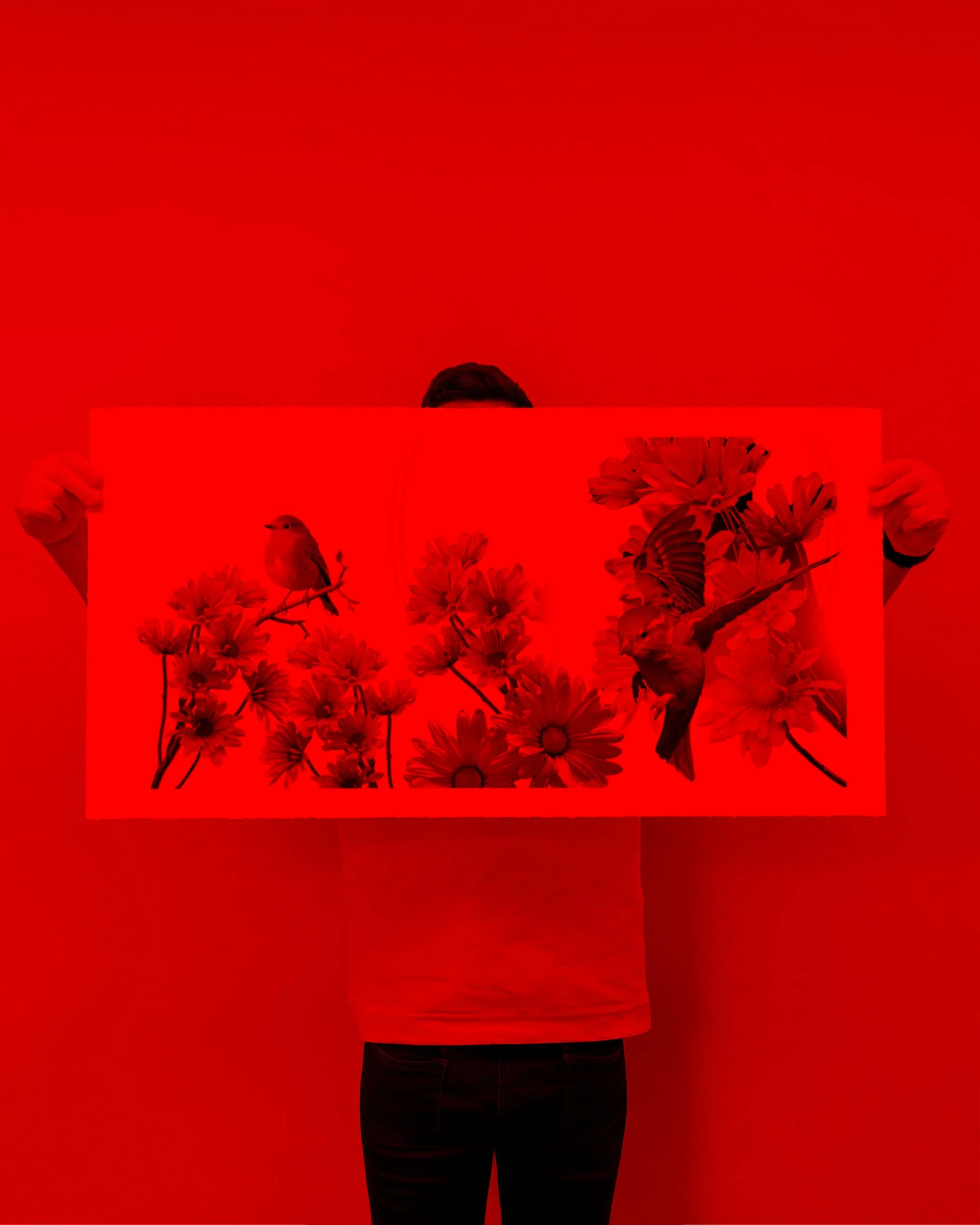 HOLDING 2 - RED.jpg