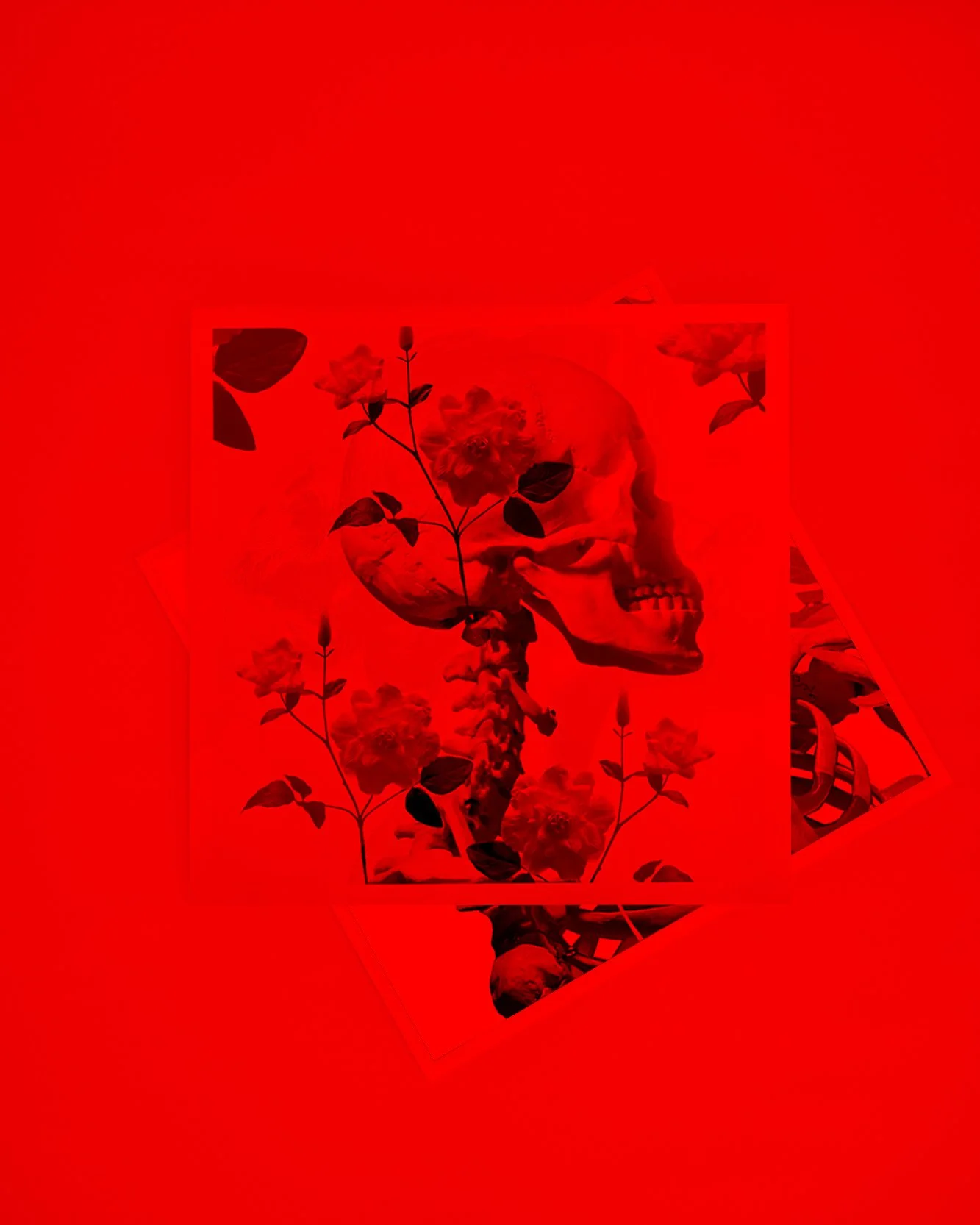 MINI PRINT 2 red.jpg