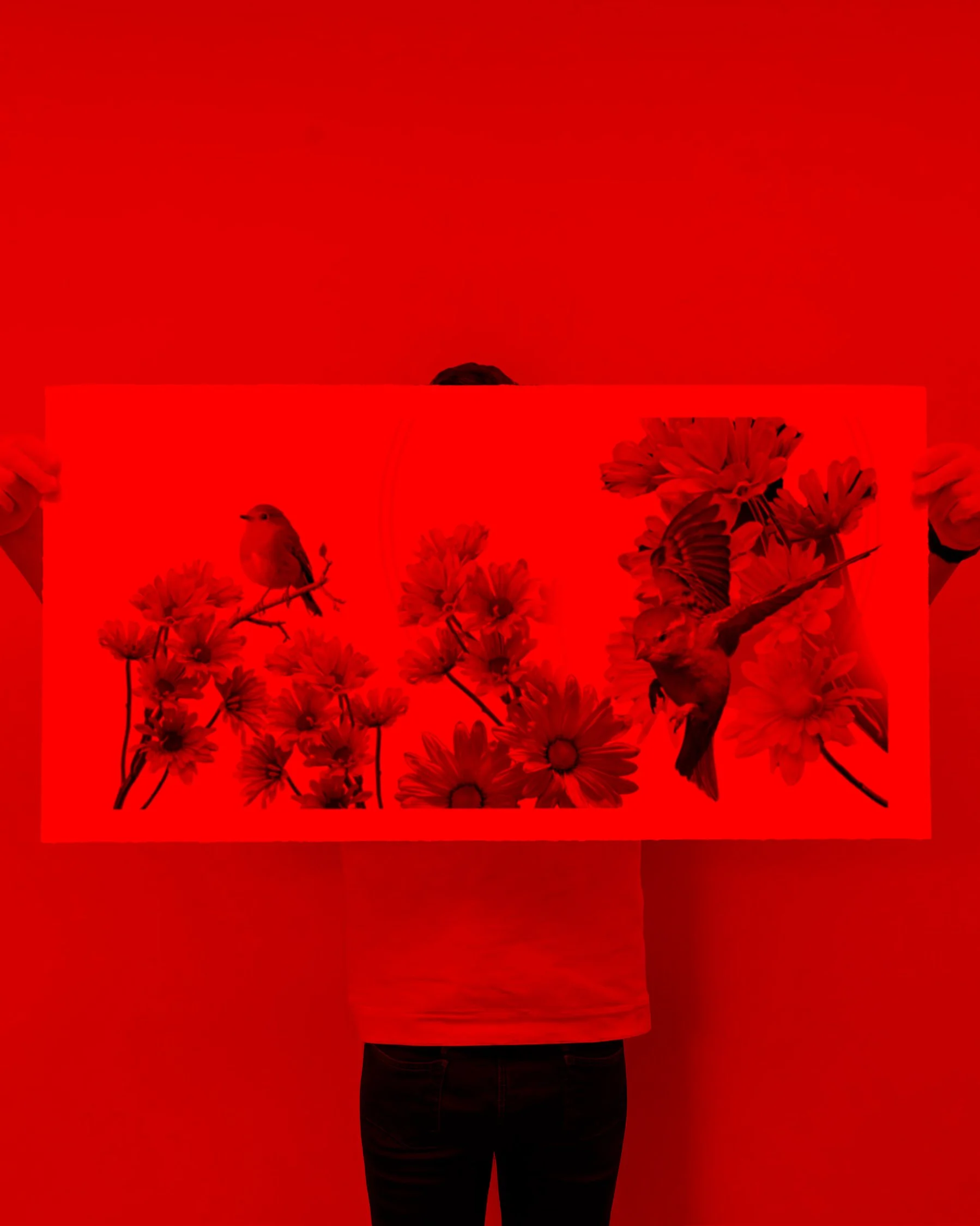 holding xl clear red.jpg
