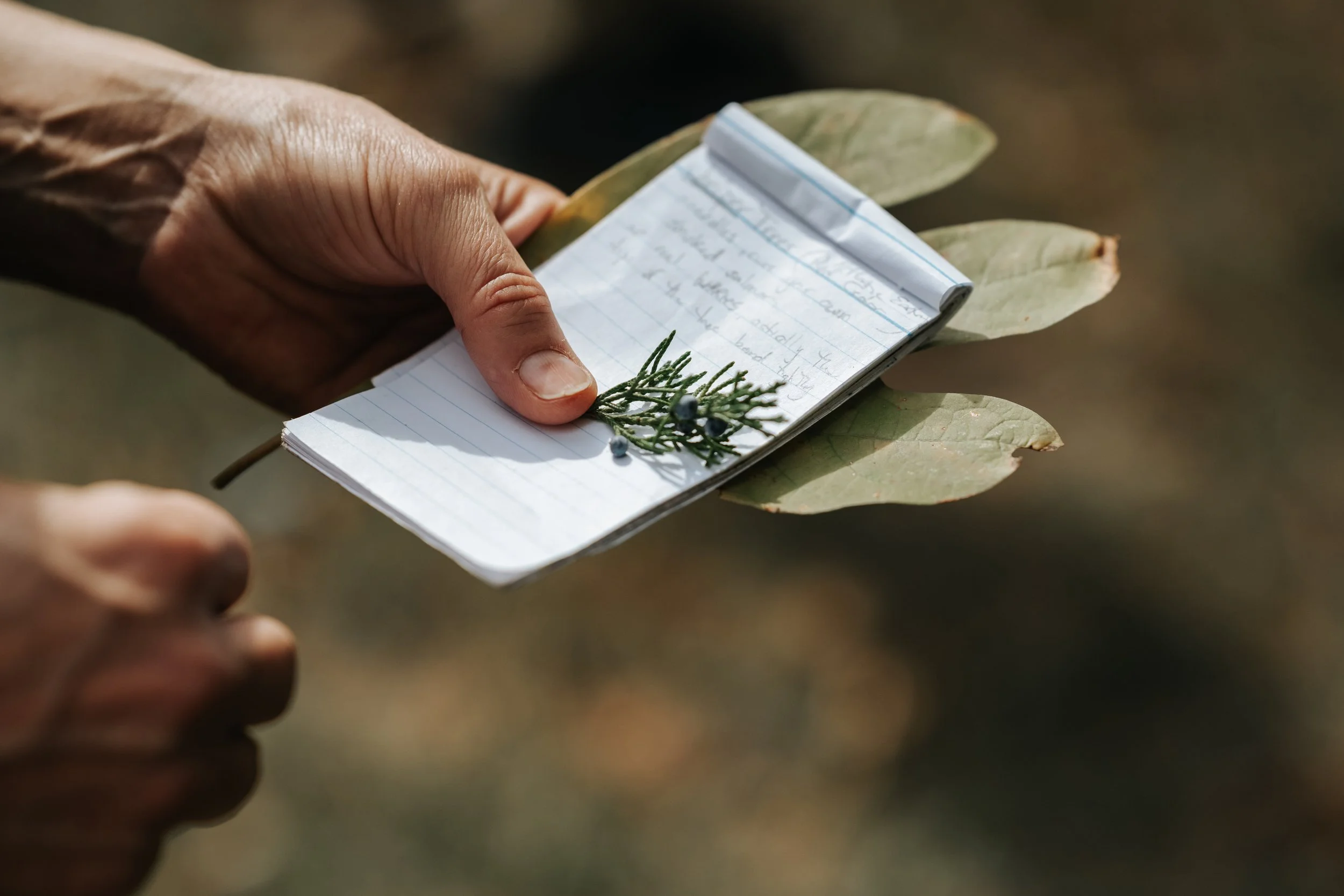 deep root herbal class 5 (30).jpg