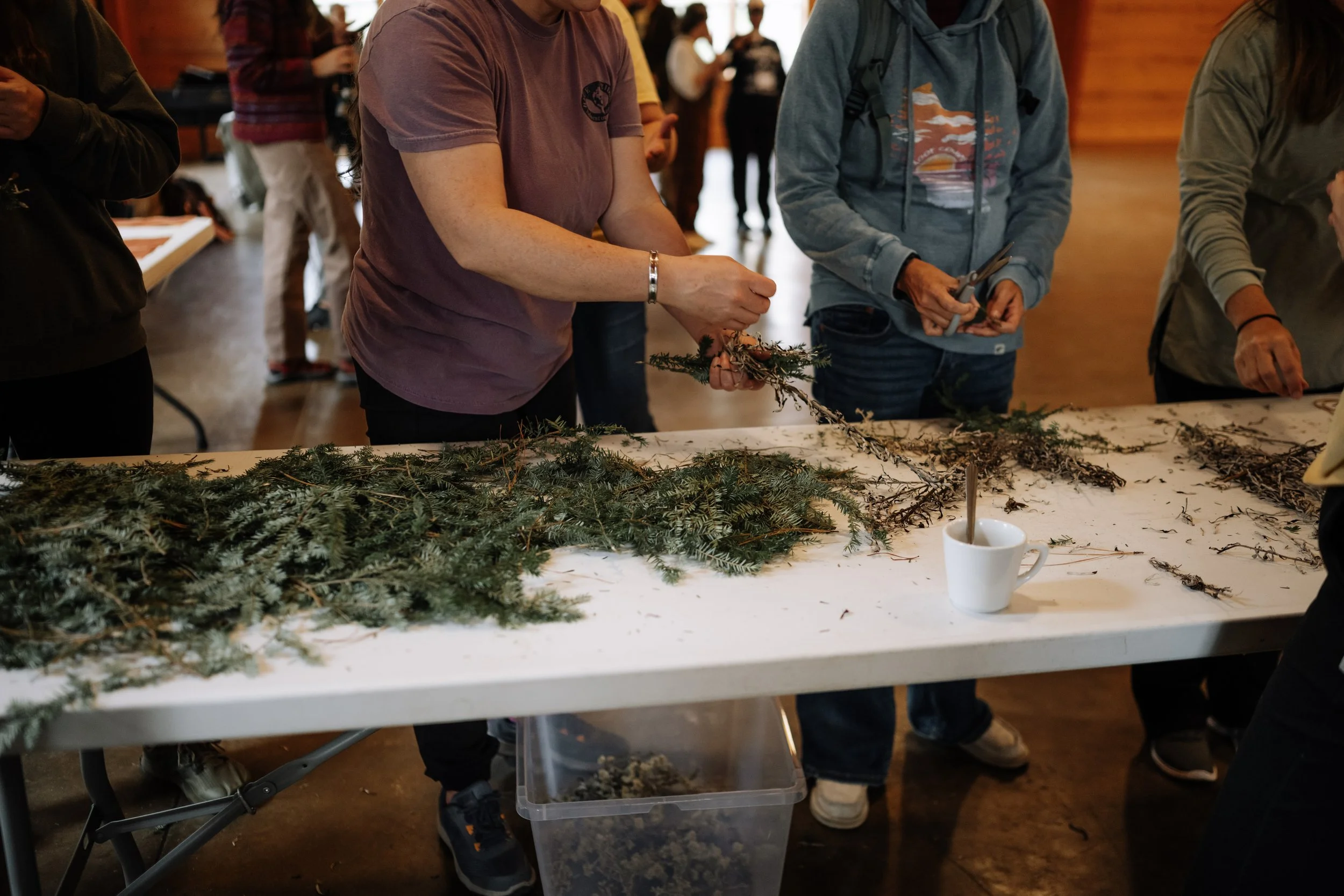 deep roots herbal class 5 (79).jpeg