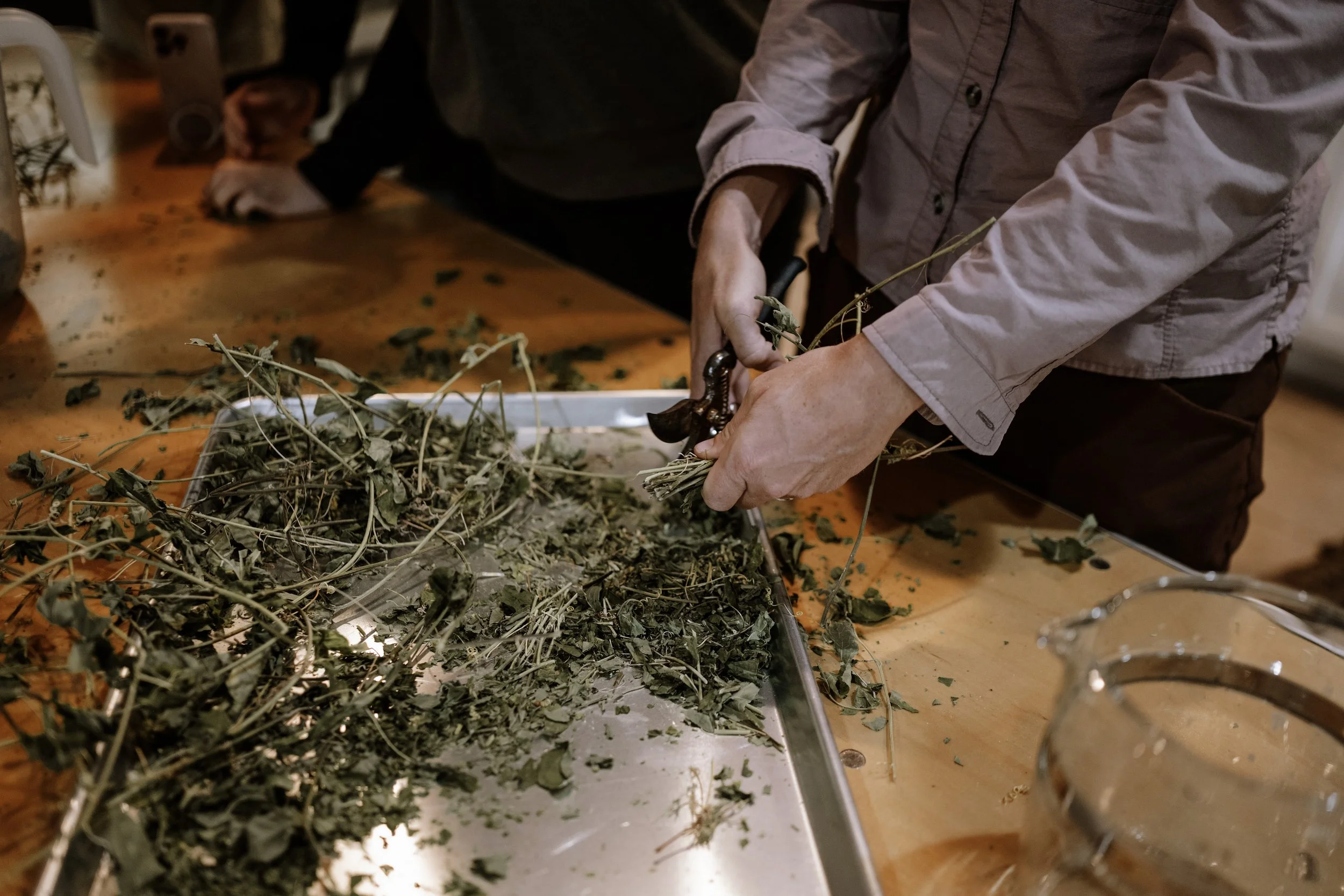 deep roots herbal class 5 (44).jpeg