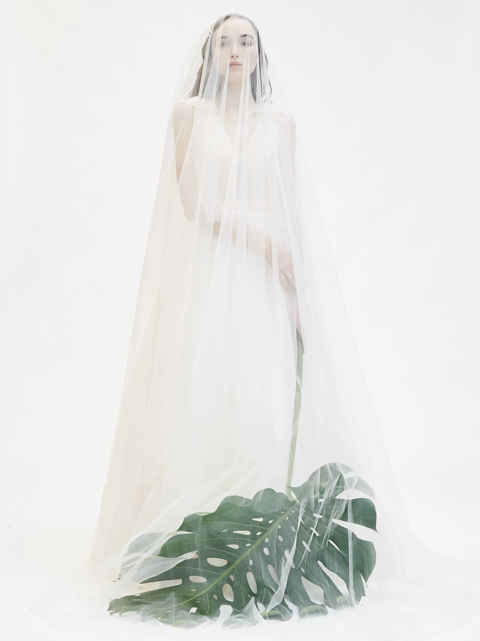 White Trousseau - 2804195259.jpg