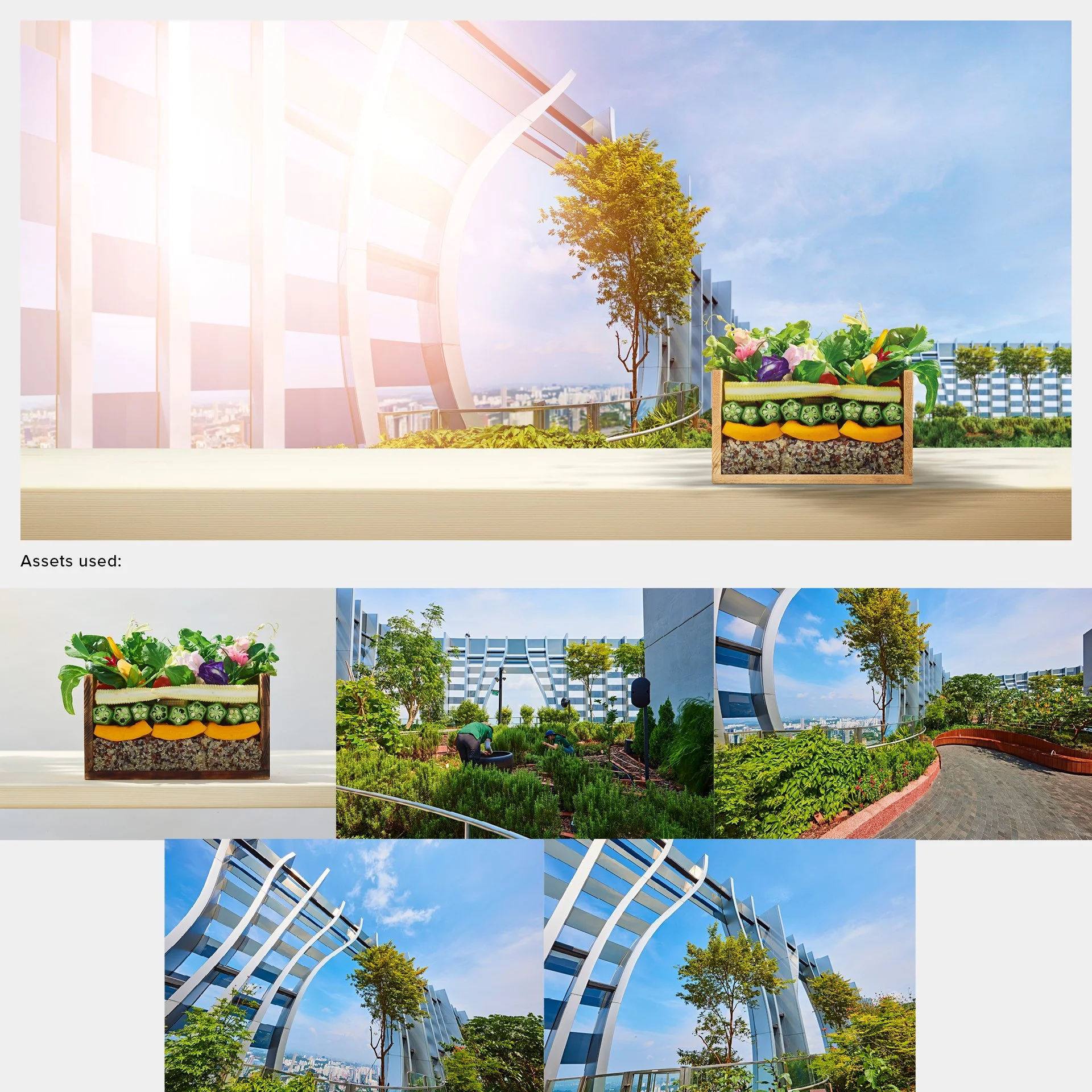 DBS - Live More_Urban Farming KV.jpg